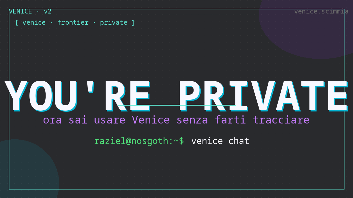 Console con &lsquo;YOU&rsquo;RE PRIVATE&rsquo; grande, sotto &lsquo;ora sai usare Venice senza farti tracciare&rsquo;.